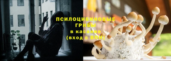 соль курить ск Алексеевка