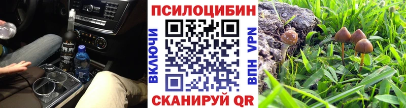 OMG рабочий сайт  сколько стоит  Ставрополь  Псилоцибиновые грибы прущие грибы 