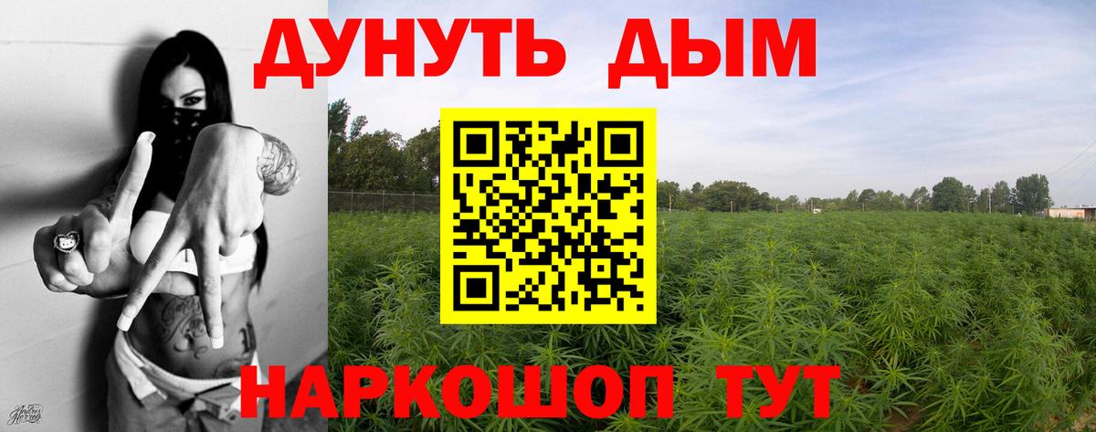 Каннабис Ganja Ставрополь
